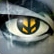 Voyeur