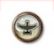 Pilot's License
