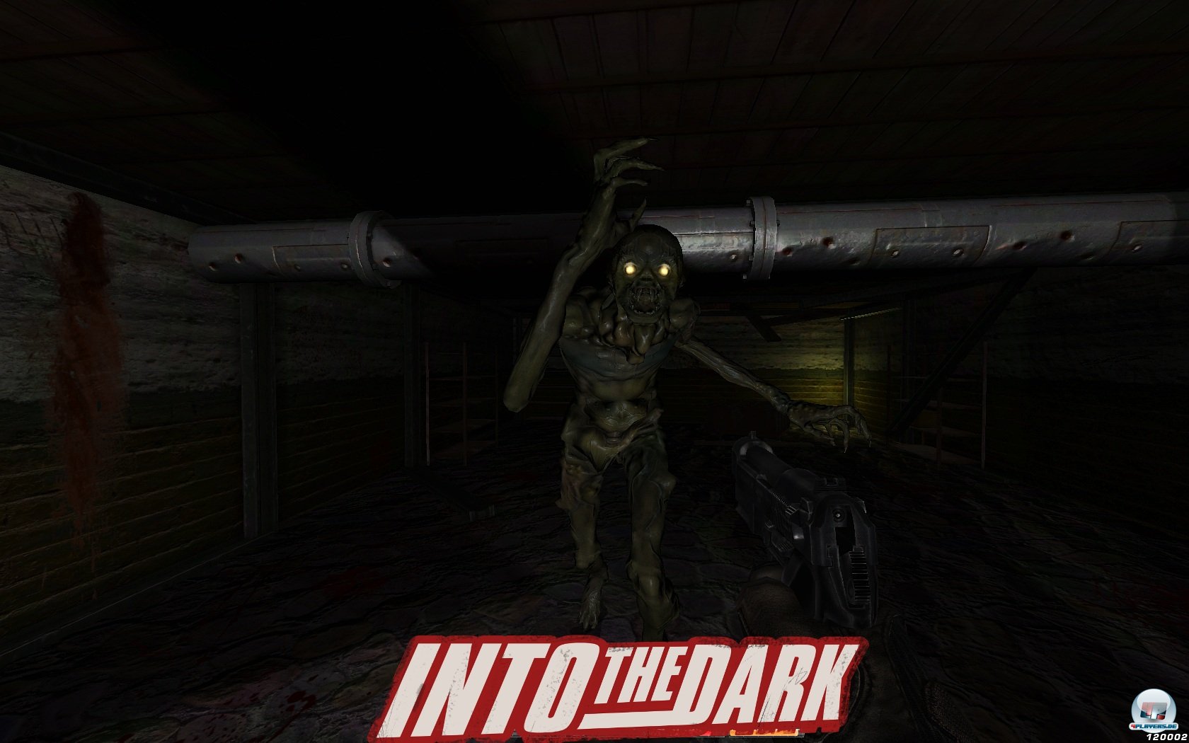 Screenshot Into the Dark PC